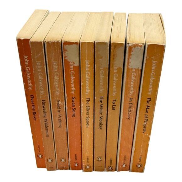 Vintage Forsyte Chronicles Penguin 9 Book Box Set TV Series BBC Tie-In 1960s - Picture 6 of 15